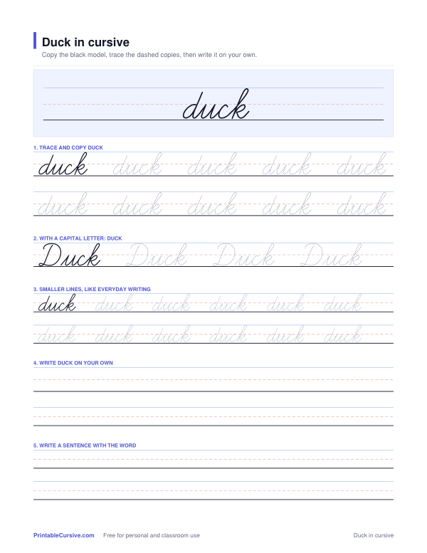 Preview of the Duck in cursive practice sheet worksheet
