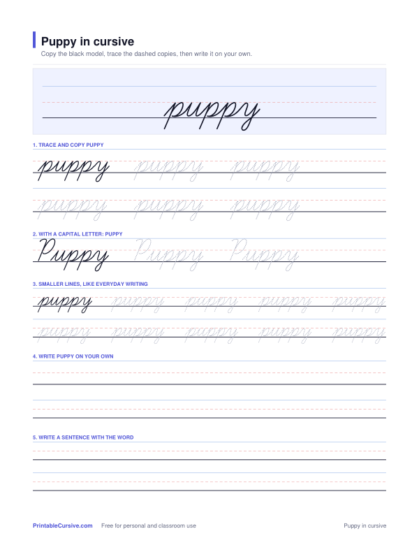 Preview of the Puppy in cursive practice sheet worksheet